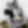 woman seeking men Sadabad near me photo - Pavani