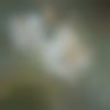 woman seeking men Kanhangad near me photo - Manu