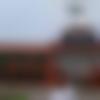 Bettiah Male Photo - Shakir