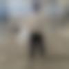 Male Photo - Badshah