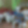 Imphal Male Photo - Dhanraj