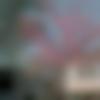 woman seeking men Devarakonda near me photo - Yasin