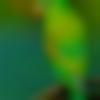 woman seeking men Devakottai near me photo - Abhi