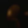 woman seeking men Wanaparthy near me photo - Roji