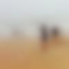 woman seeking men Mangalagiri near me photo - Garima