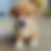 Single Female - Gargi