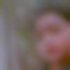 woman seeking men Jasdan near me photo - Mayuri