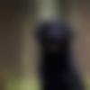 woman seeking men Baheri near me photo - Deblina