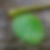 woman seeking men Ankola near me photo - Mini