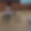 Single Female - Divya