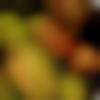 woman seeking men Pithoragarh near me photo - Mahi