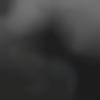 Single Male - Solomon
