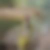 Female Photo - Preet