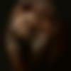 Washim Male Photo - Siddhu