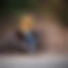 Muvattupuzha Male Photo - Mrinal