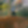 Male Photo - Monu