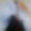 Pilibanga Male Photo - Allwin
