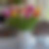 woman seeking men Bhimavaram near me photo - Yuvika