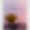 Telugu Ladies, Woman Seeking Men Photo - Echan