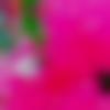 woman seeking men Dhuri near me photo - Sushmita