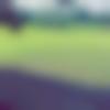 woman seeking men Zira near me photo - Prity