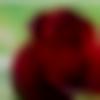 woman seeking men Mungeli near me photo - Jemi