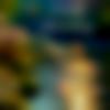 woman seeking men Tirur near me photo - Mimitha