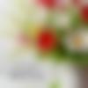 Matrimony Photo Male India