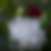 woman seeking men Sangamner near me photo - Dipali