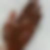 woman seeking men Arakkonam near me photo - Sowmya