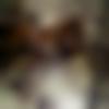 woman seeking men Allahabad near me photo - Vishu