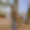 woman seeking men Hinganghat near me photo - Priyanka