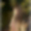 Female Photo - Lija