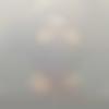 Konkani member profile Photo, Email, Address and Contact Details - Pritish