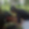 Miraj Male Photo - Thivakar