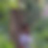 Male Photo - Ranjith