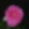 woman seeking men Palanpur near me photo - Sahityathera