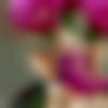 woman seeking men Nedumangad near me photo - Anuradha