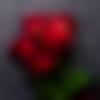woman seeking men Devakottai near me photo - Divya