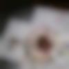 woman seeking men Sadabad near me photo - Rubina