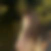 woman seeking men Bagaha near me photo - Muskan