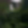 woman seeking men Harur near me photo - Keerthi