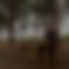 Single Male - Prashant