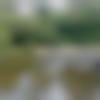 Single Male - Nikil