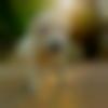 Female Photo - Triptimishra