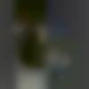 Female Photo - Vaisu