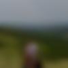 Male Photo - Snehith