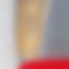 Male Photo - Ajit