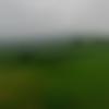 Adoor Male, photo - Sahil