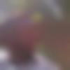 Sagwara Male Photo - Rajuperumandla